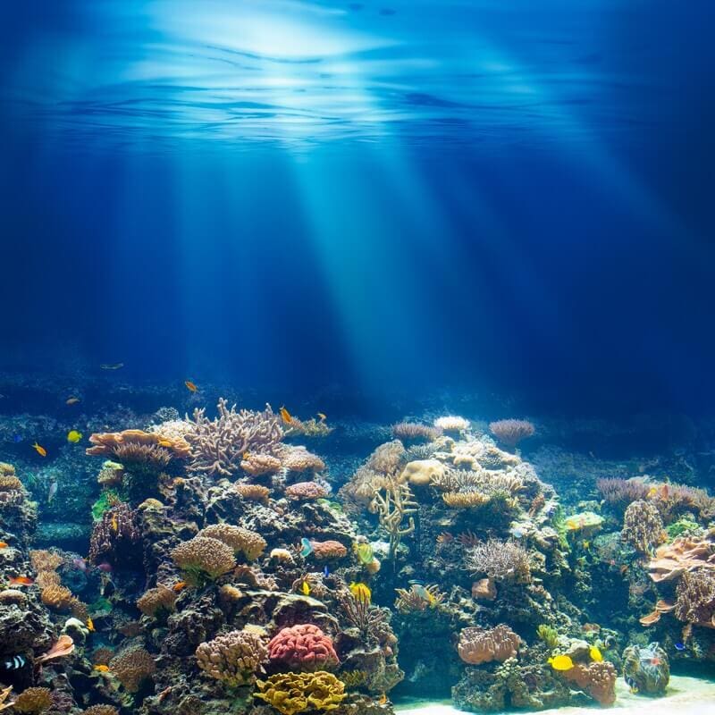 Renewable Energy Powering the Blue Economy