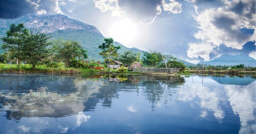 Environmental Stewardship Education Nature's Beauty