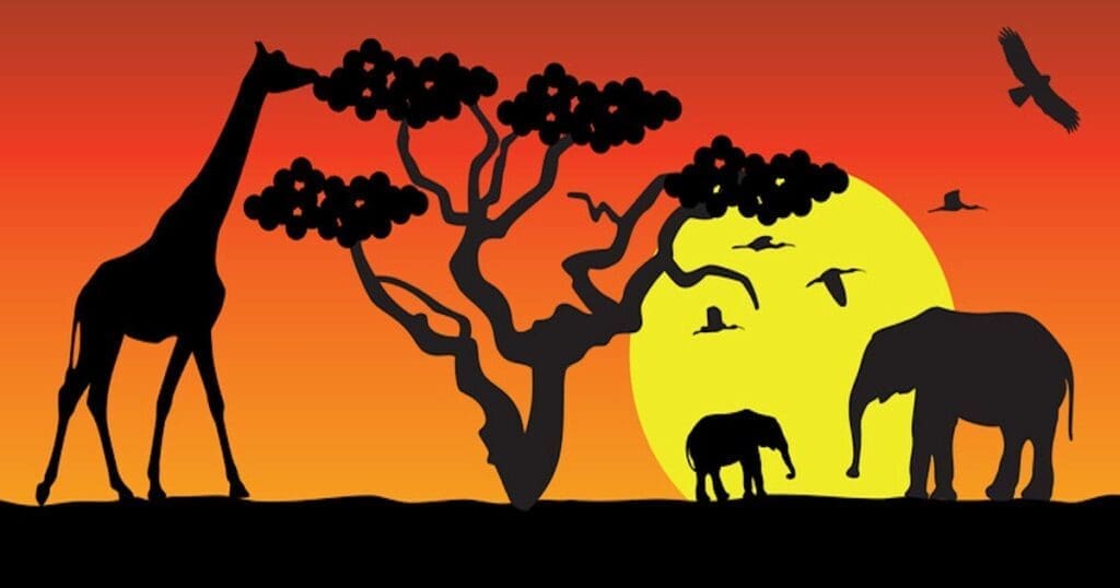 LED energy saving lighting Africa CFL Elimination