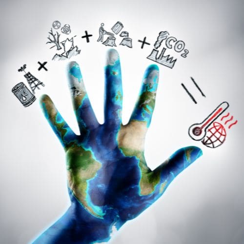 Decline of Migratory Species