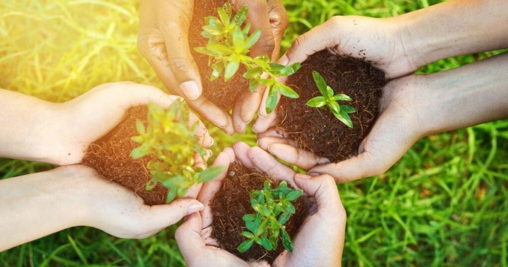 American Climate Corps Youth planting trees to improve the environment