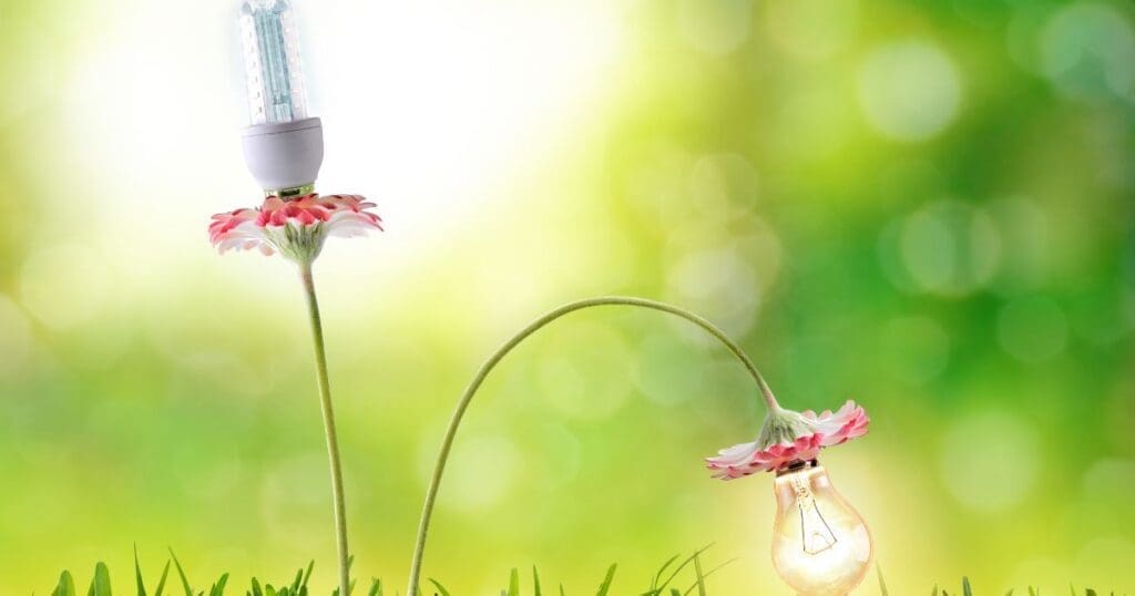 A delicate flower with a glowing light bulb hanging from its stem.