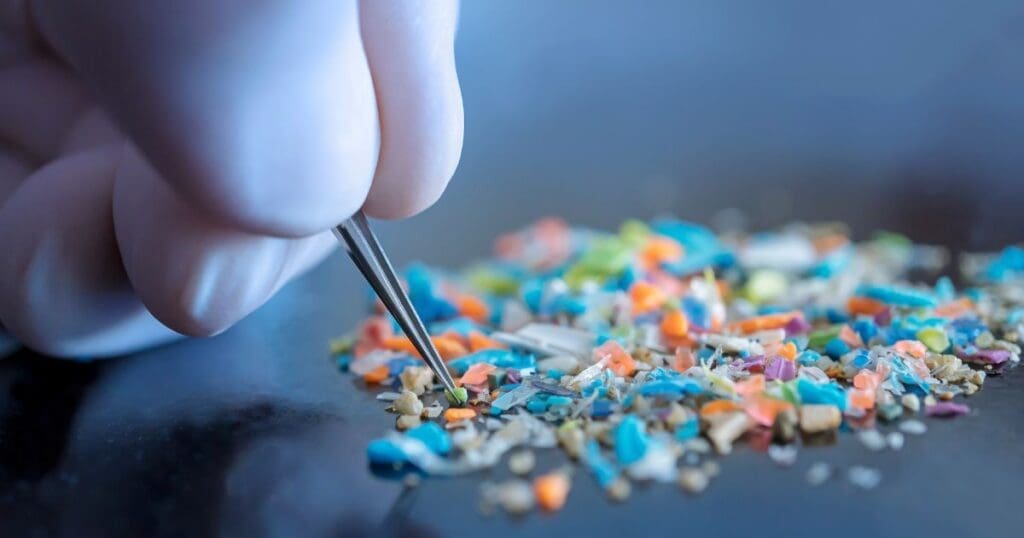 microplastics in the human body