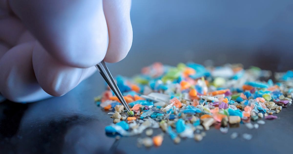 microplastics in the human body