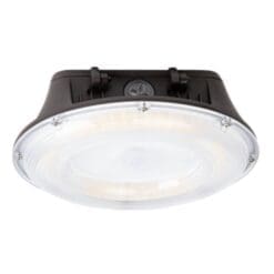 Canopy Light CPRSR Bronze Housing