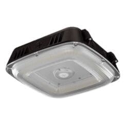 Canopy Light CPSR Bronze Housing